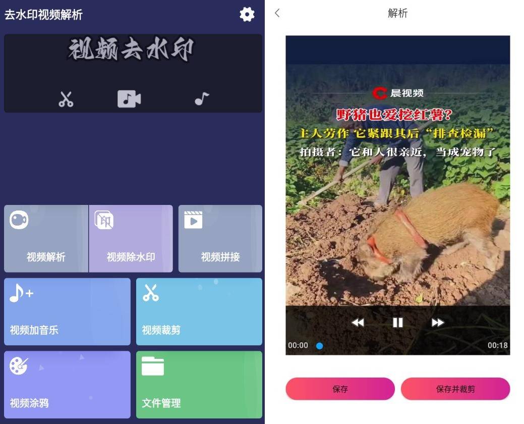 去水印视频解析v1.1.25高级版插图