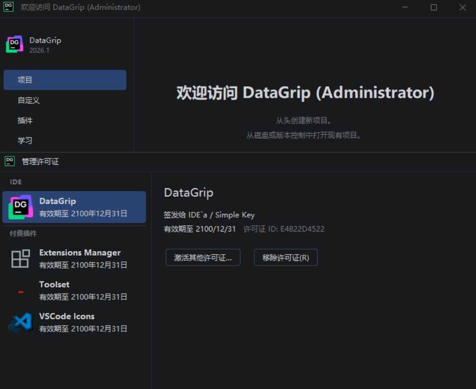 DataGrip v2026.1.0 高级版插图